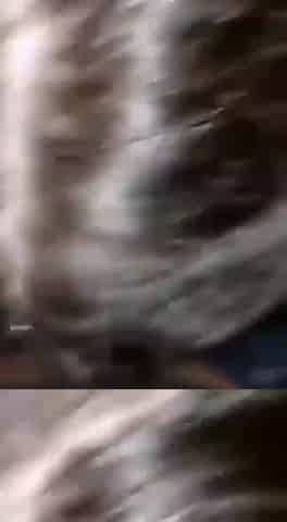 Teen sucking dick