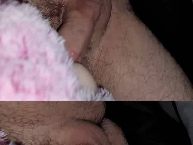 New pink teddy bear fuck