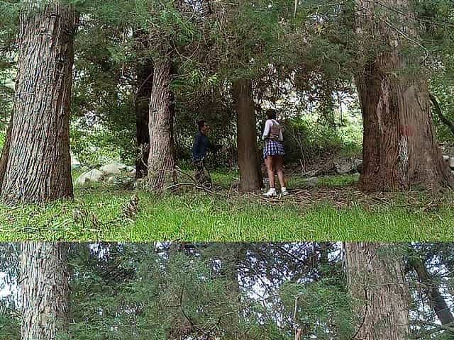Charming college gal with large butt and breasty boobs screws with a amoral grand-daddy in the jungle