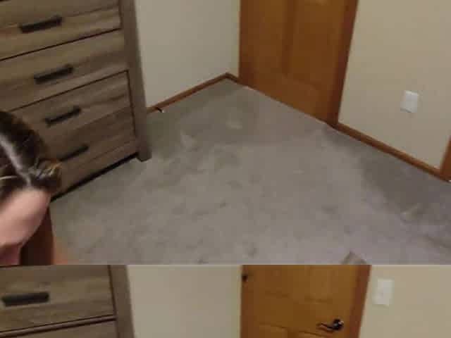 Pregnant Seduces Boy and Fucks His Brains Out with a Creampie Finish