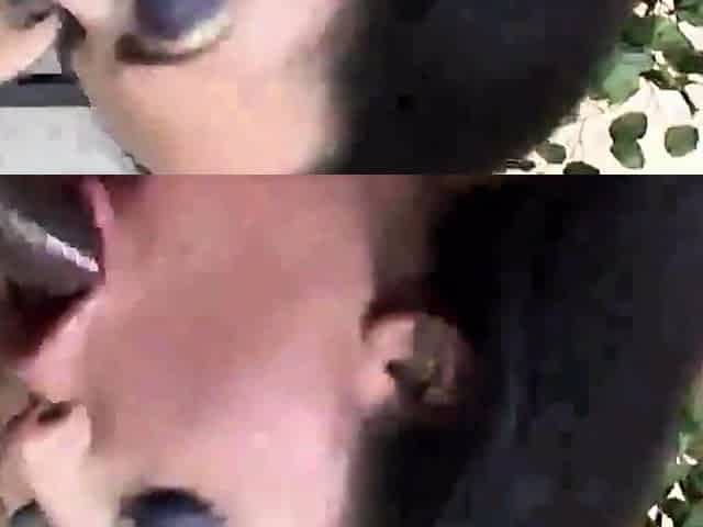big ass Two hot chicks and one black dick movie pt2 - TacAma