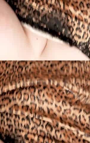 Leopard Print Underwear, Tits Teasing