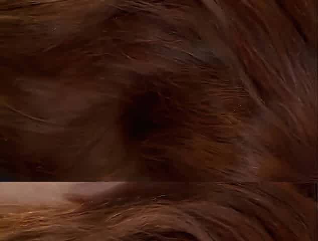 Lusty mother I'd like to fuck has wild 69 dream with man on daybed