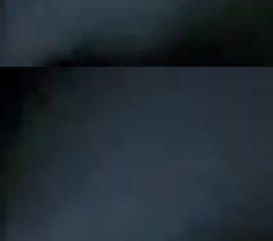 Homemade Blowjob
