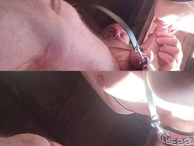 Close up Throbbing Cum in Mouth Blowjob