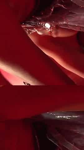 Naughty couple is ready to go to the next step and fuck with another couple