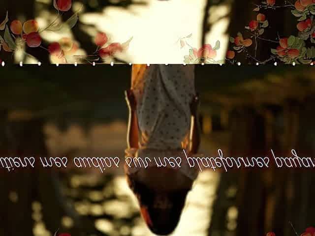 Visite au Verger - French erotic story