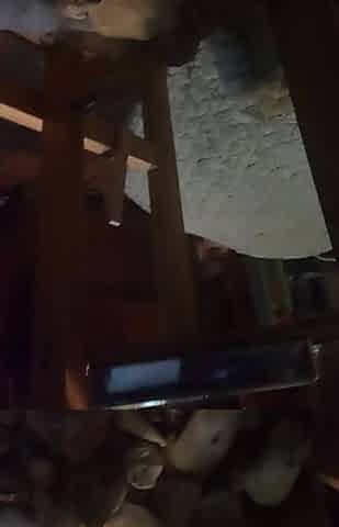 Rip old man neighbor