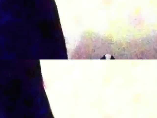 Asian Massage Parlor Amateur Video
