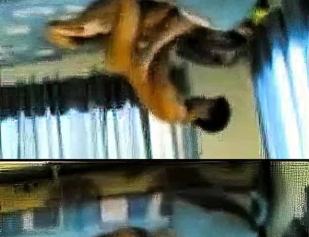 Thai Amateur Couple Goes Wild
