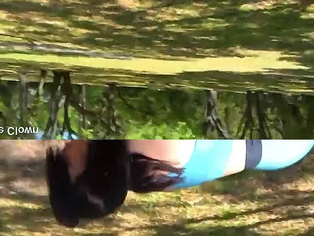 Large Butt Latin babe Star Mandi May Sucks Ebony Penis After Losing 1 on 1 To A Fan