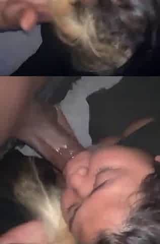 Thik Filipino take big dick enjoy blowjob service