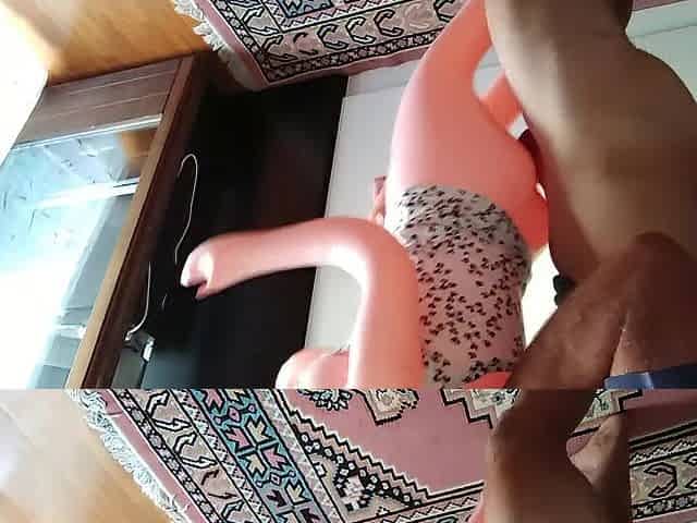 Doggystile Booty Screw concupiscent Doll
