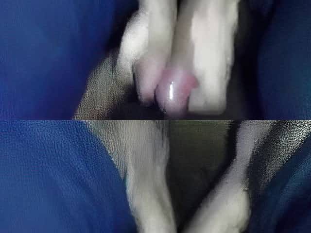 strapon on shlong - frot - frottage