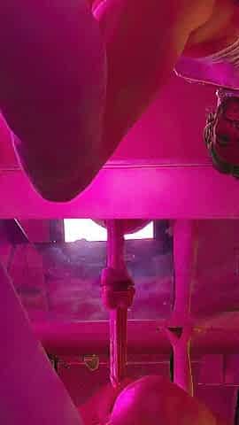 Sissy Femboy Riding Sex-toy Anal Training