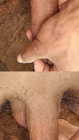 Savage Anal Rhythm Turns Twat Into Pulsing Fire