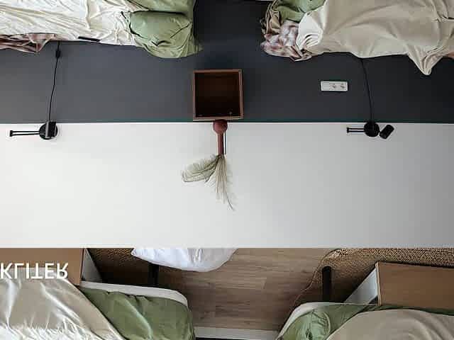 Real horny hostel