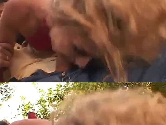 Golden-haired bitch hardly screwed outdoor