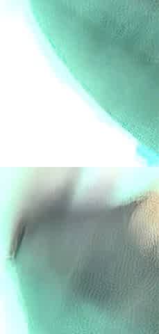 Blonde latina doggystyle fucks a big cock POV