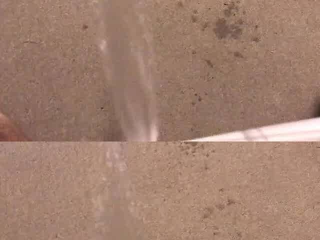 Pissing on my Bedroom Carpet in the Midst of the Night