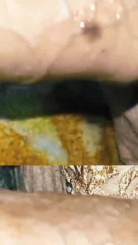 After Sucking My Father-in-law's Thick, Hard Penis, I Got Pleasure in Getting My Tight Pussy Fucked by His Hard Penis.