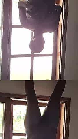 Fucking a Beautiful, Natural Woman While Looking at the Best View in the World, What an Adventure to Live the Best Moment