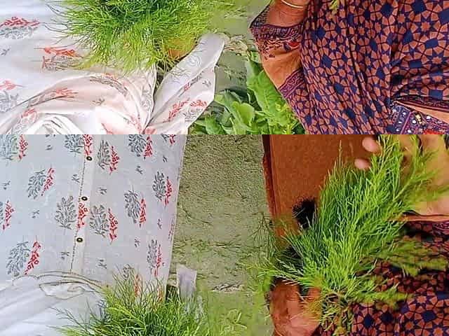 Rakib69 _ Bangla Desi Outdoor Village 3 Some Mms Hot