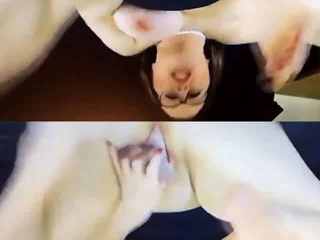 Anal BBW Webcam Show HD