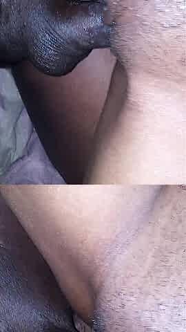 Vagina moist