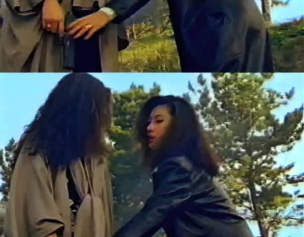 Japanese ass hole
