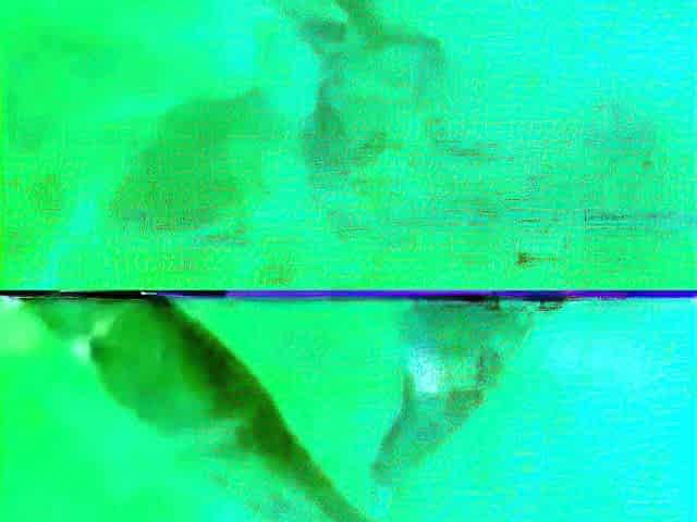 Retro Amateur Couple Has Sex Underwater