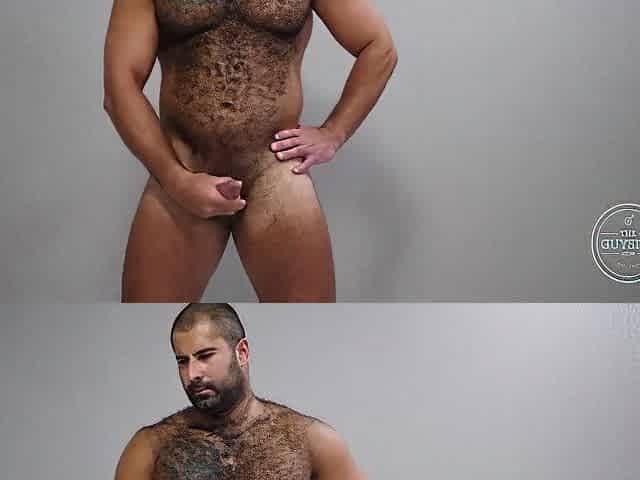 Attractive Russian Bear Playing