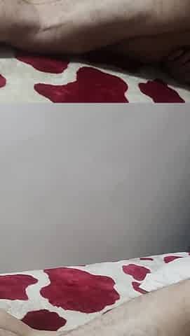 Arab Porn Moroccan