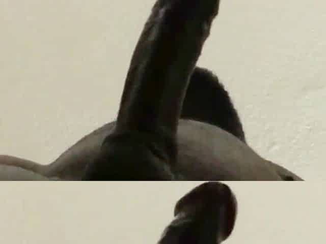 Close up Deepthroat