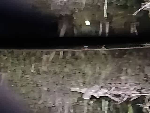 Public Void urine Play in the midst of the street