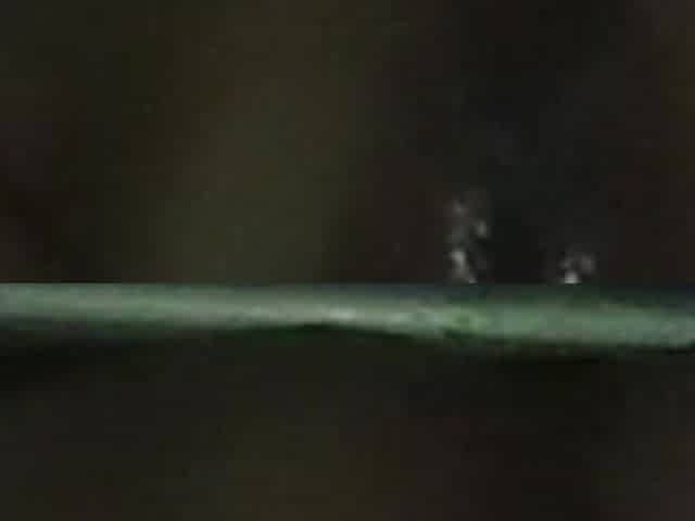 Wet Cock