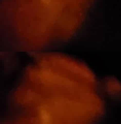 Blowjob in the Street