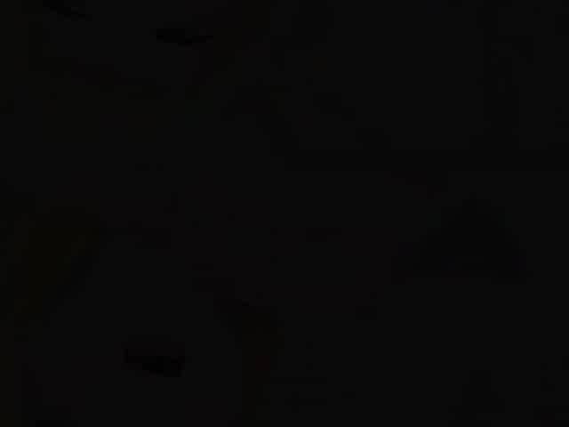 Intense Illusion of the Mind_170922p0001