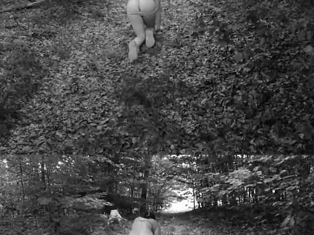 Pet Girl Obedience Training