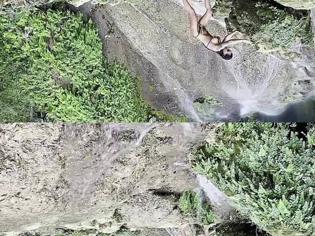Monika Fox In Yellow Bikini At Waterfall
