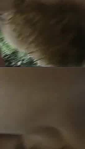 Swinging Couples Having Hard Group Sex on Vacation Full Movie in HD