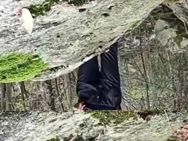 taking a lengthy urinate outdoor - piddle waterfall