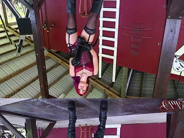 Big Toy For Bitch Boy