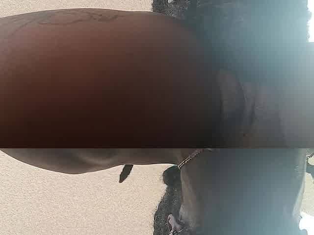 Online black Pair getting it in. INTIMATE episodes Way more excellent. Hit Facentro link