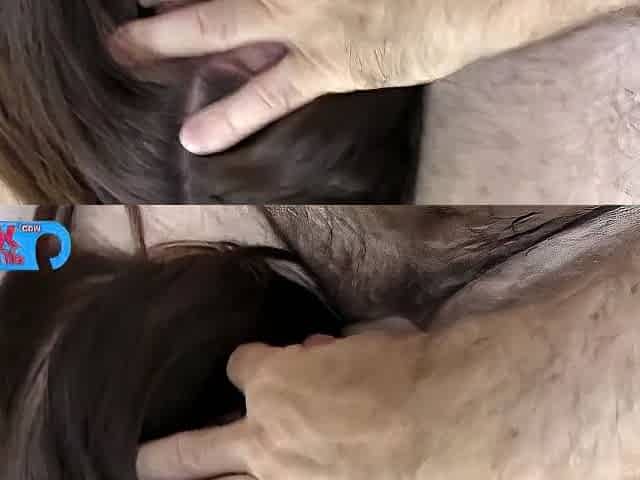 Sexy Brunette Good Morning Hard Anal (piss Edit Out)