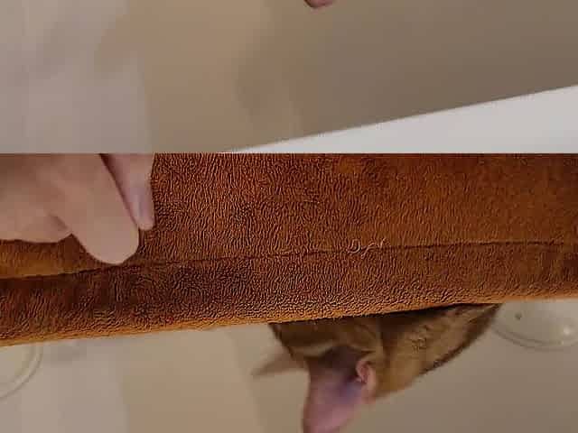 Normally gets horny