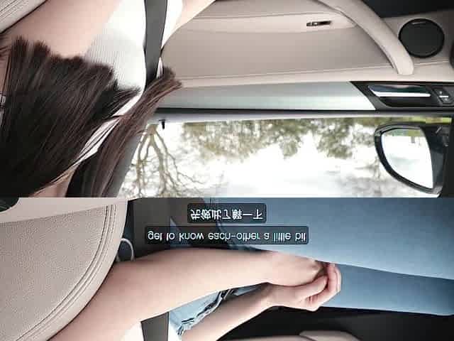 1st Date with Marvelous Oriental student ends in Wild Car Sex