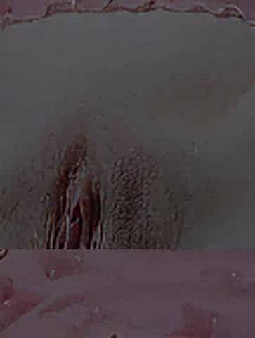 Anal Play with a Thick Vibrator and a Moist, Lewd Twat