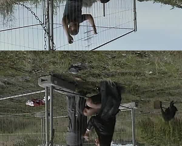 German MILF Amateur Outdoor Big Natural Tits Brunette Anal