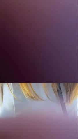 Asian Angel 28306